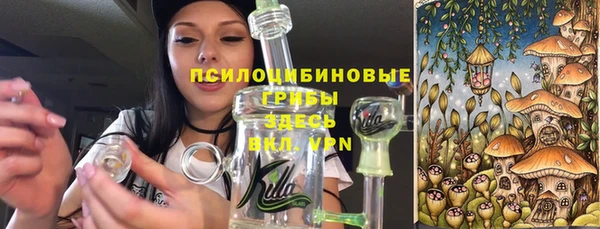 дмт Михайловск