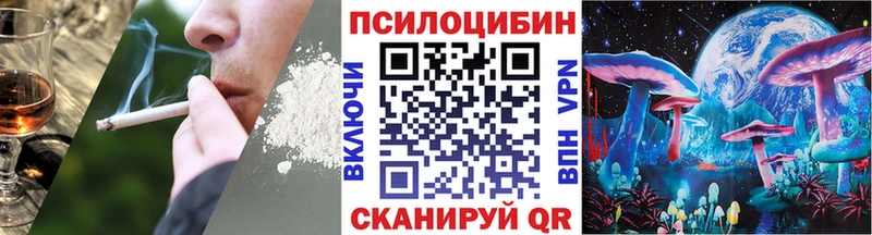 Купить закладки  Талица  Галлюциногенные грибы MAGIC MUSHROOMS 